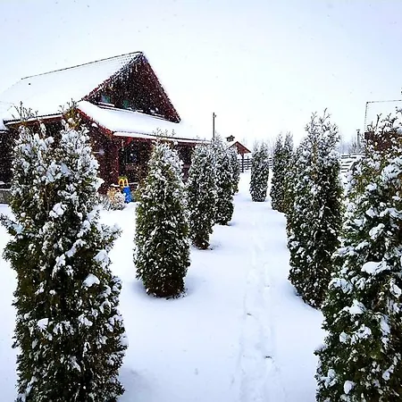 Holiday home La Casute Bran *