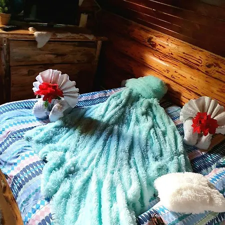 Holiday home La Casute Bran